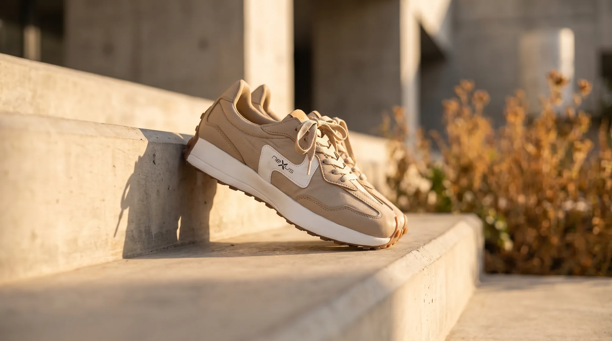 Paire Aube au soleil couchant